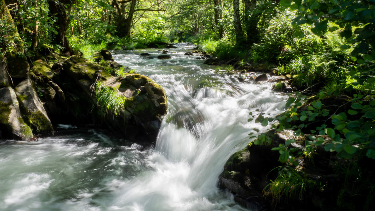 Río Eo Galiceando