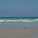 Cervo