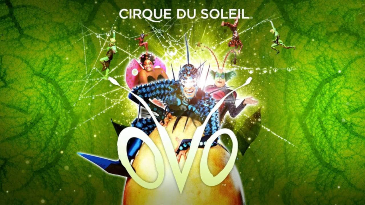 OVO Cirque du Soleil